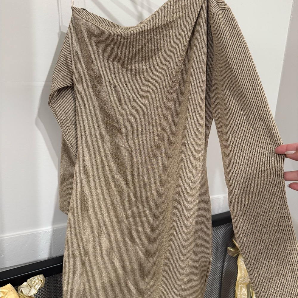 Zara Tan Long Sleeve Dress